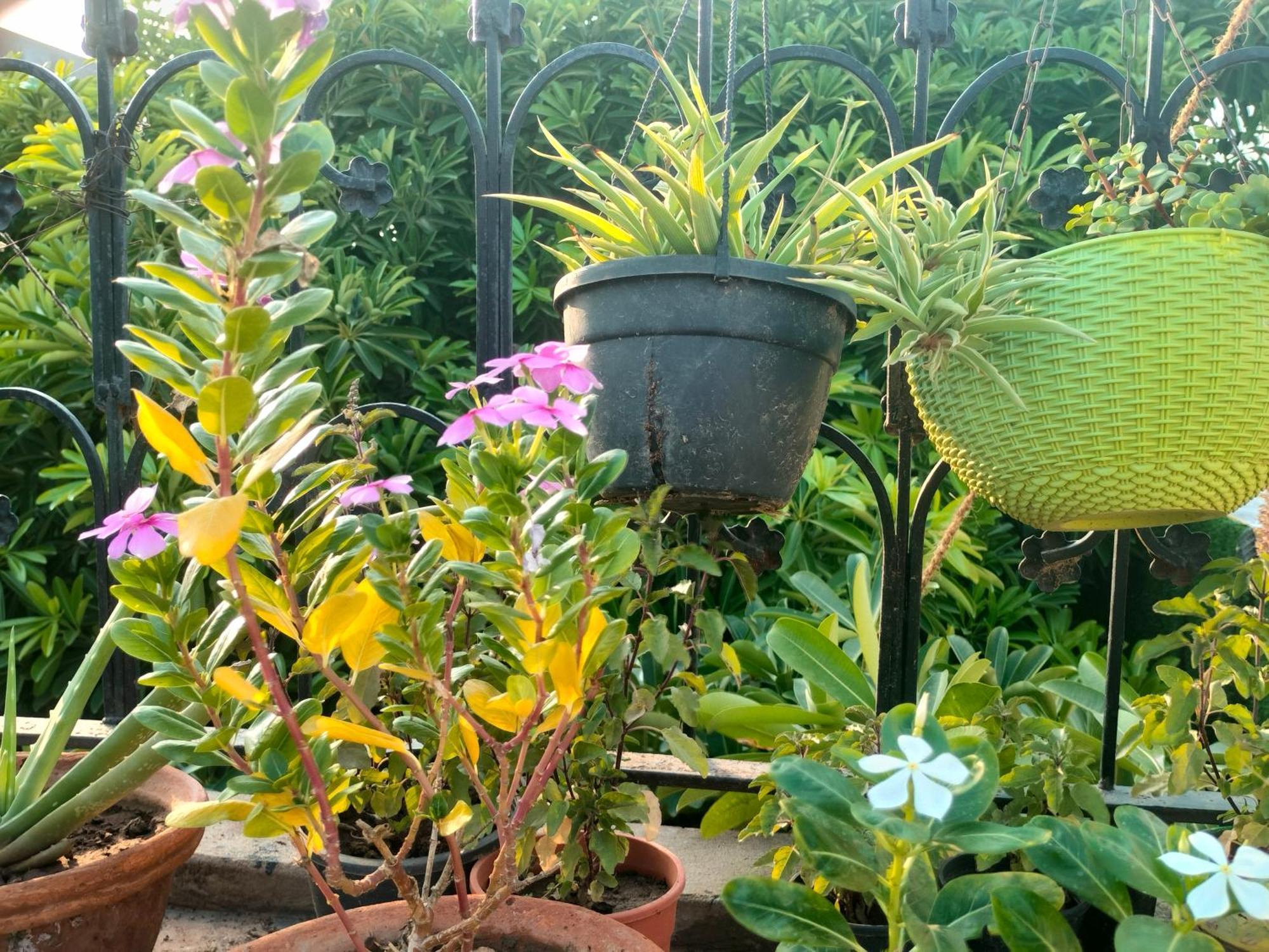 Kishan Home Stay Mathura Eksteriør bilde