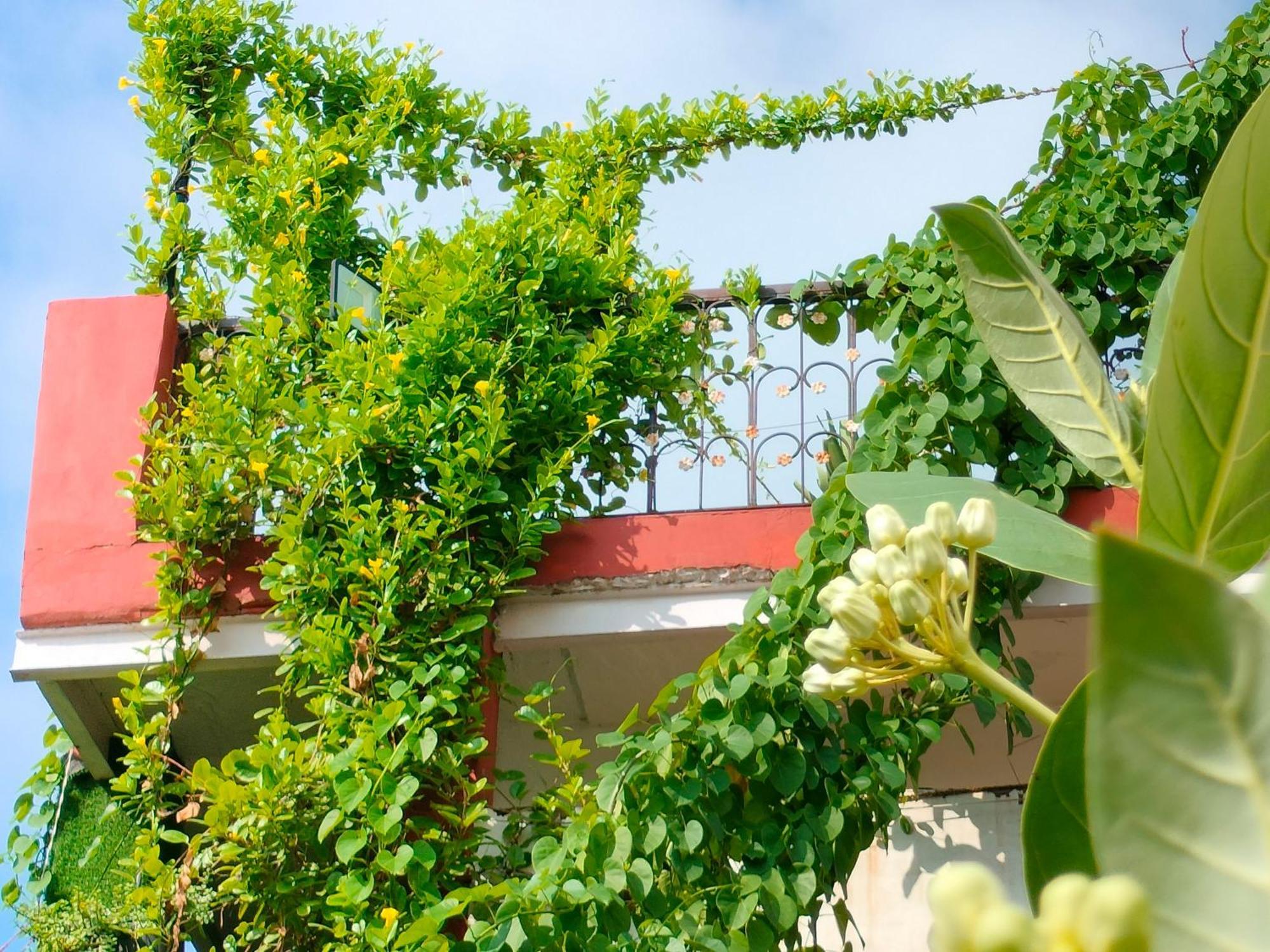 Kishan Home Stay Mathura Eksteriør bilde
