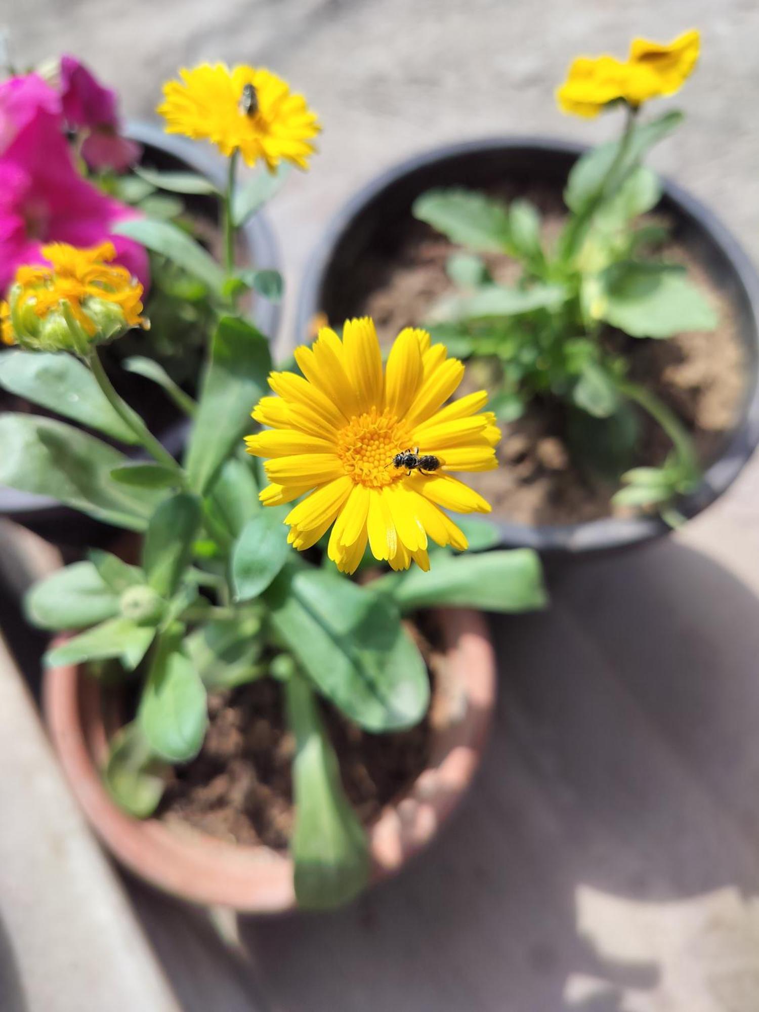 Kishan Home Stay Mathura Eksteriør bilde
